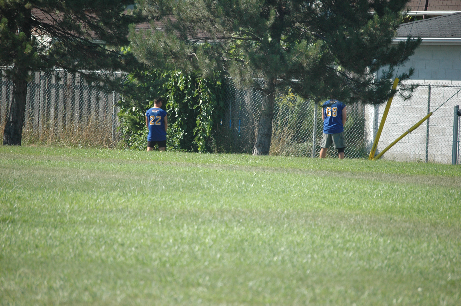 DSC_7952
