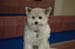 pht-2008_friends_0086