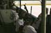 PHT_2009_On-The-Ice-153