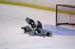 PHT_2009_On-The-Ice-81