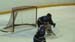 PHT_2009_On-The-Ice-919